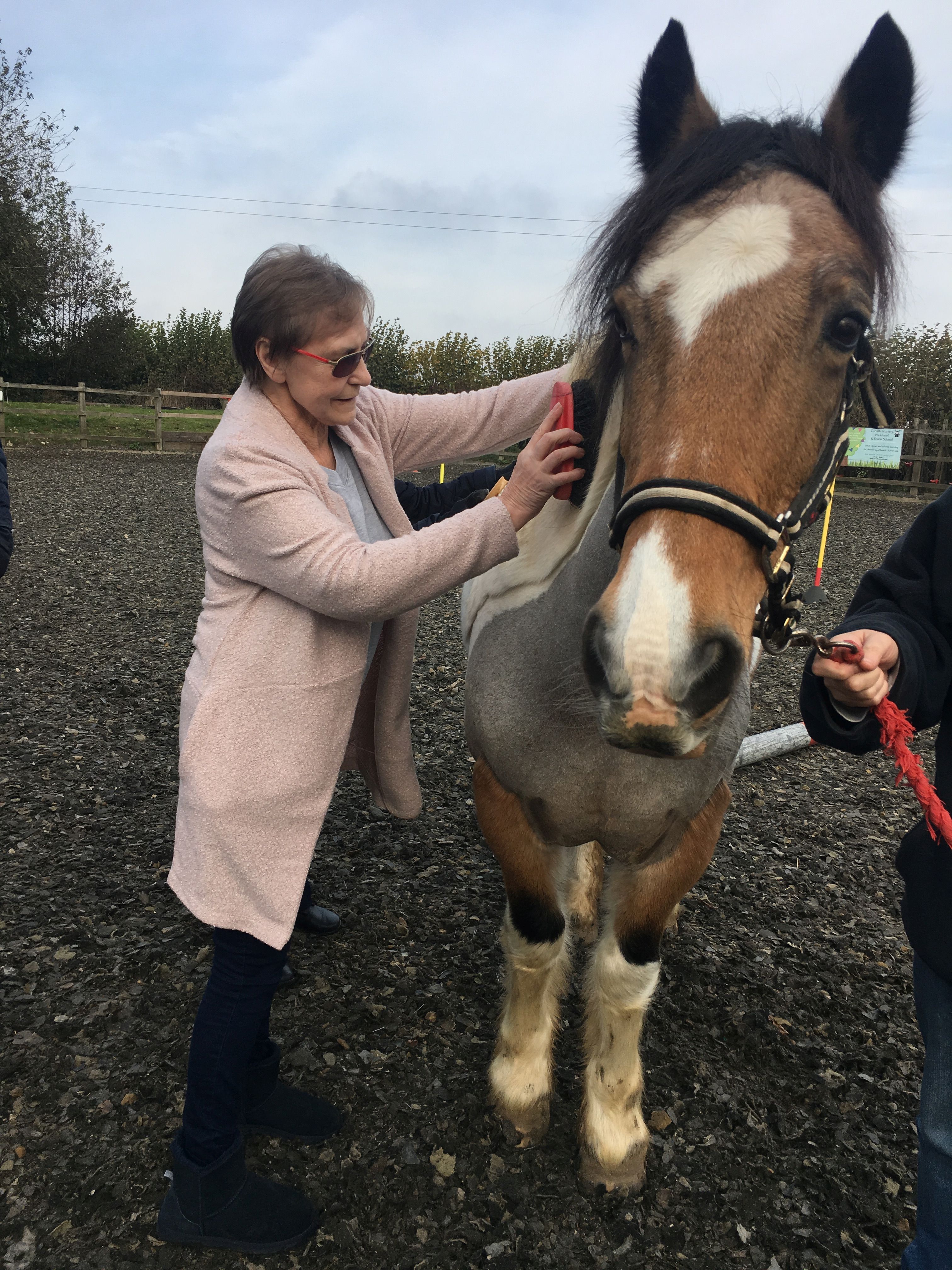 Photograph of lady grooming horse